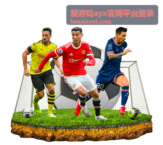 爱游戏ayx官网平台登录账号安全提醒